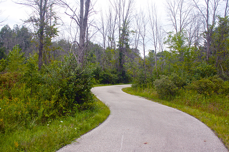 Chippewa Trail
