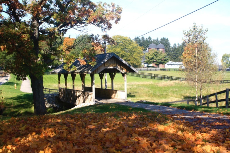 Forest Hills Trails