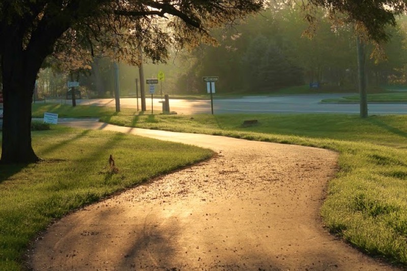 Lowell Area Trailway