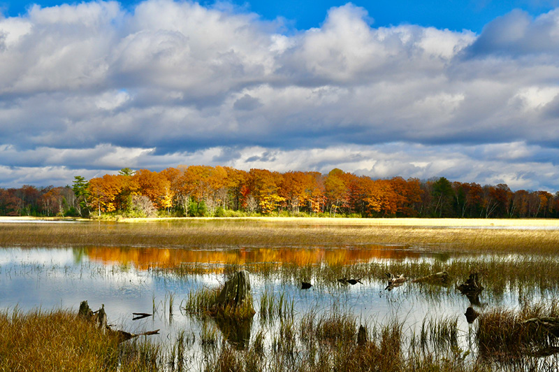 Highbanks Trail