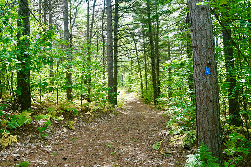 Black Mountain Pathways